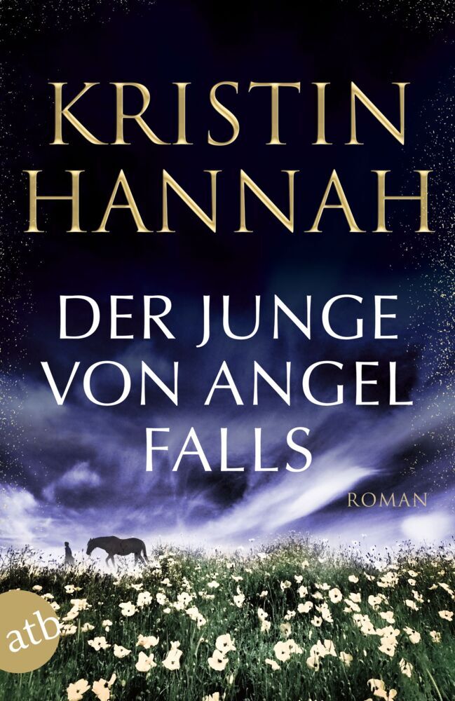 Der Junge von Angel Falls main product photo