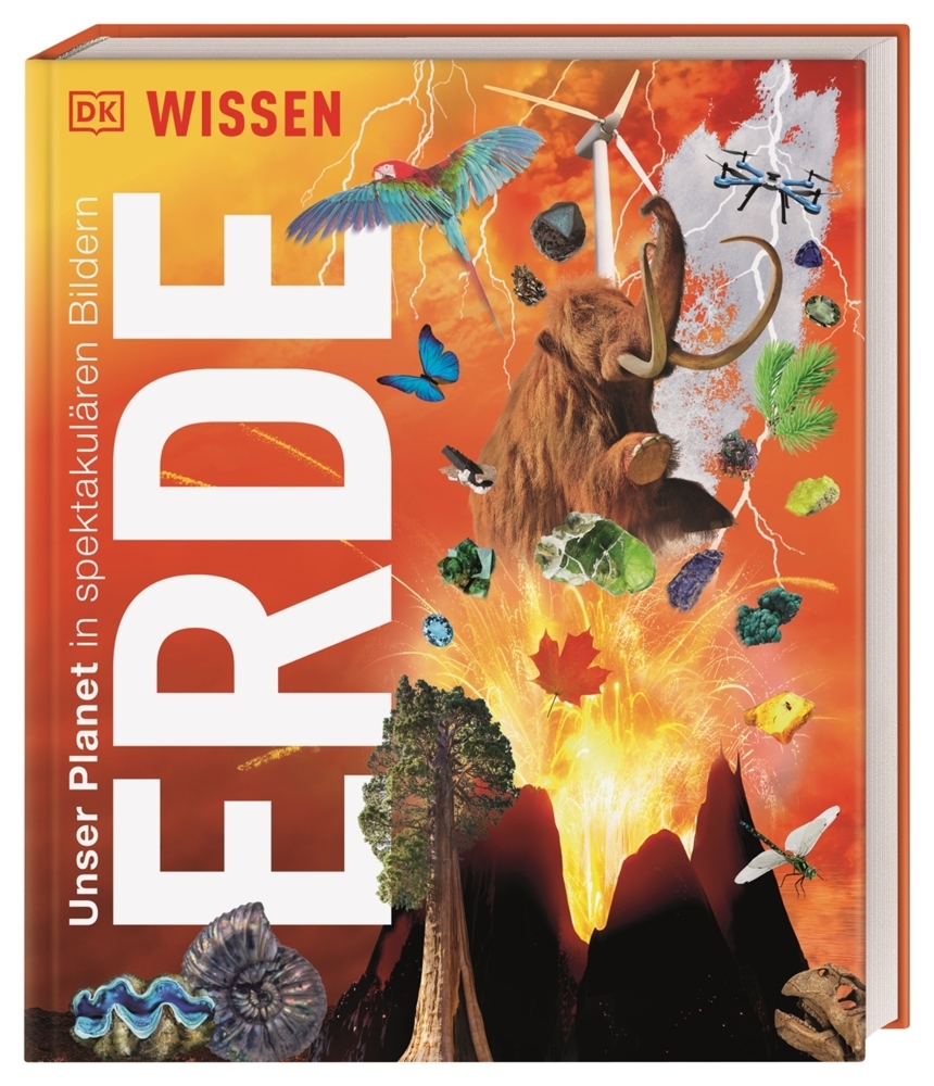 DK Wissen. Erde main product photo