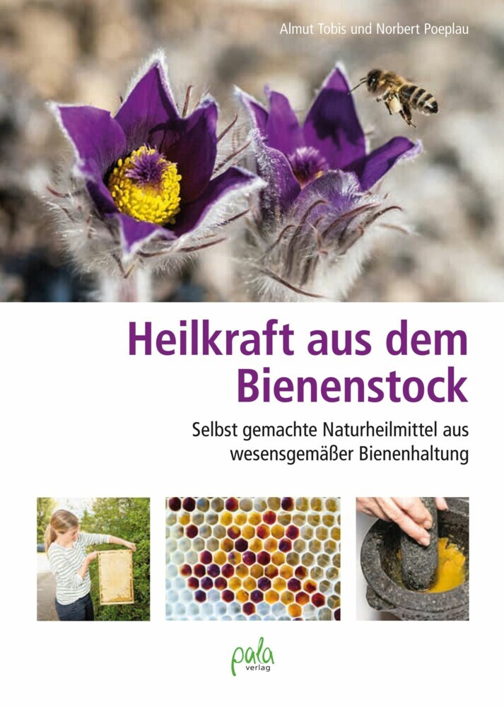 Heilkraft aus dem Bienenstock main product photo
