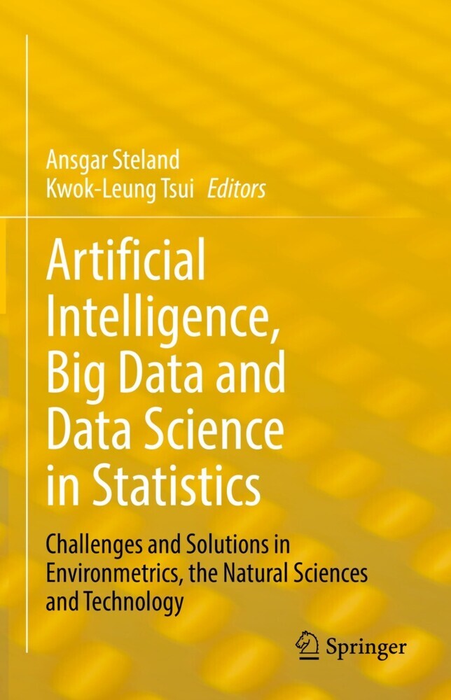 Artificial Intelligence, Big Data and Data Science in Statistics main product photo