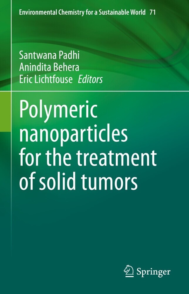 Polymeric nanoparticles for the treatment of solid tumors main product photo