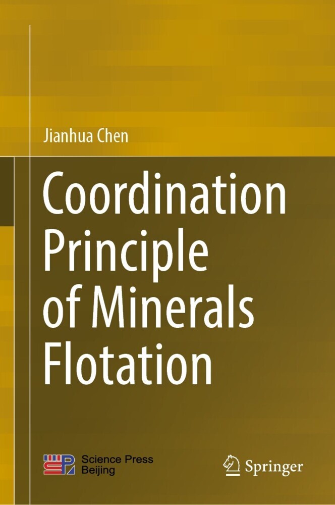 Coordination Principle of Minerals Flotation main product photo