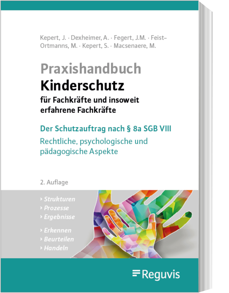 Praxishandbuch Kinderschutz für Fachkräfte und insoweit erfahrene Fachkräfte main product photo