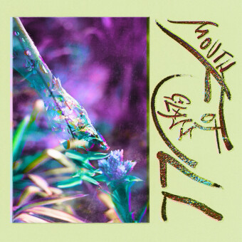 Mouth Full of Glass, 1 Audio-CD