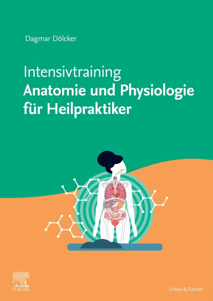 Intensivtrainer Anatomie und Physiologie für Heilpraktiker main product photo
