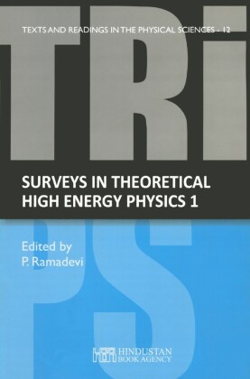 Surveys in theoretical high energy physics 1