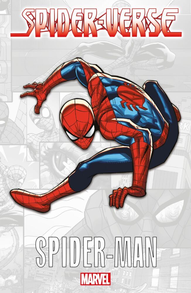 Spider-Verse - Spider-Man main product photo