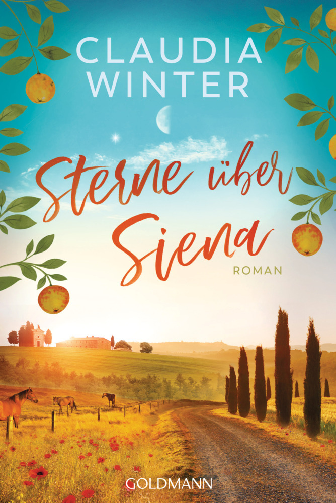 Sterne über Siena main product photo