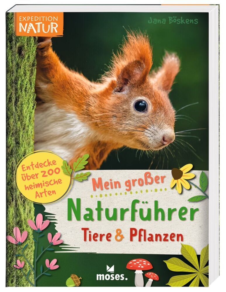 Mein großer Naturführer Tiere & Pflanzen main product photo