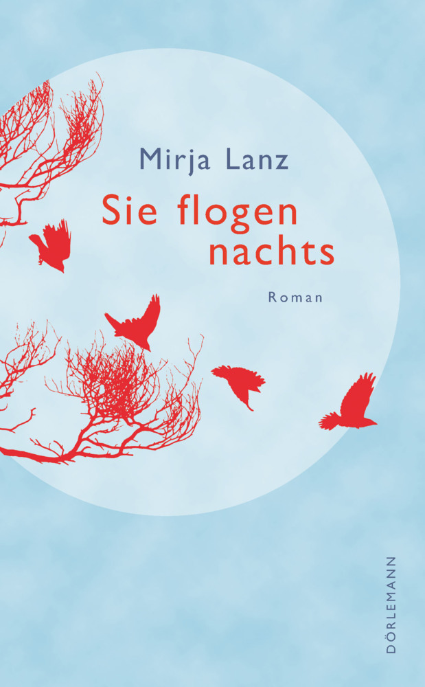 Sie flogen nachts main product photo