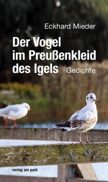 Der Vogel im Preußenkleid des Igels main product photo