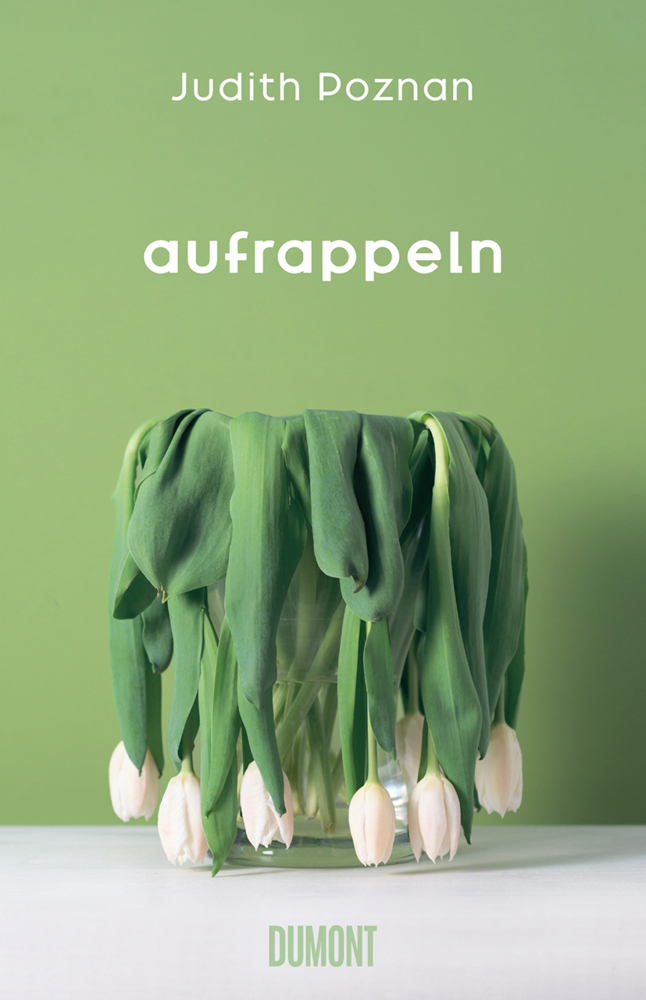 Aufrappeln main product photo