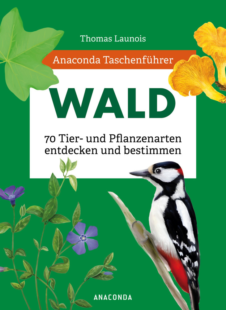 Anaconda Taschenführer Wald - 70 Tier- und Pflanzenarten entdecken und bestimmen main product photo