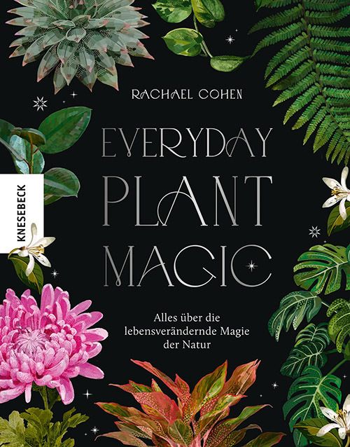 Everyday Plant Magic main product photo