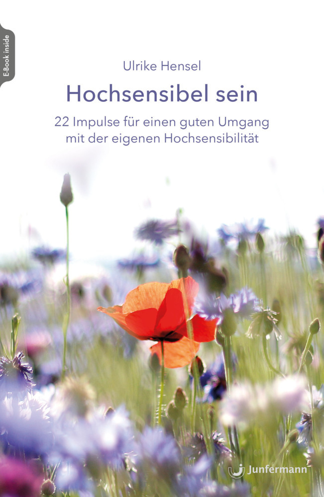 Hochsensibel sein main product photo