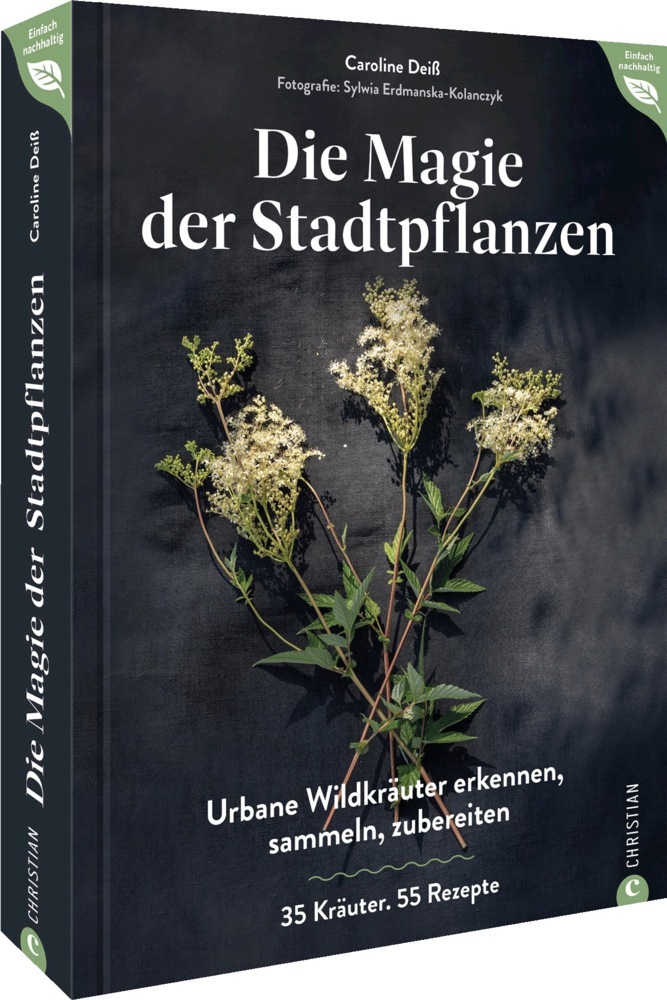 Magie der Stadtpflanzen main product photo
