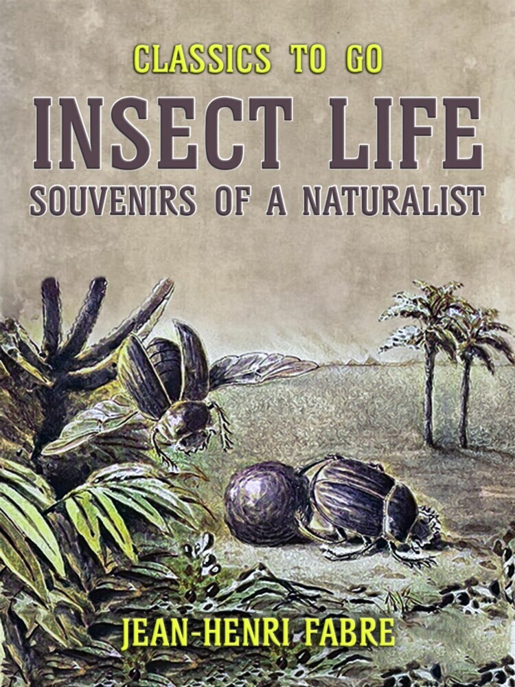 Insect Life Souvenirs of a Naturalist main product photo