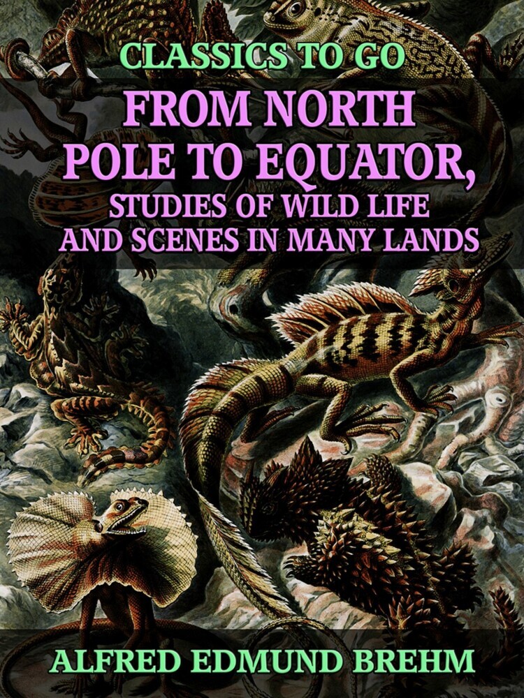 From North Pole to Equator, Studies of Wild Life and Scenes in Many Lands main product photo