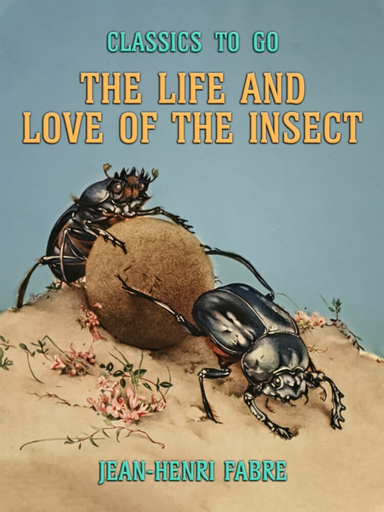 The Life and Love of the Insect main product photo