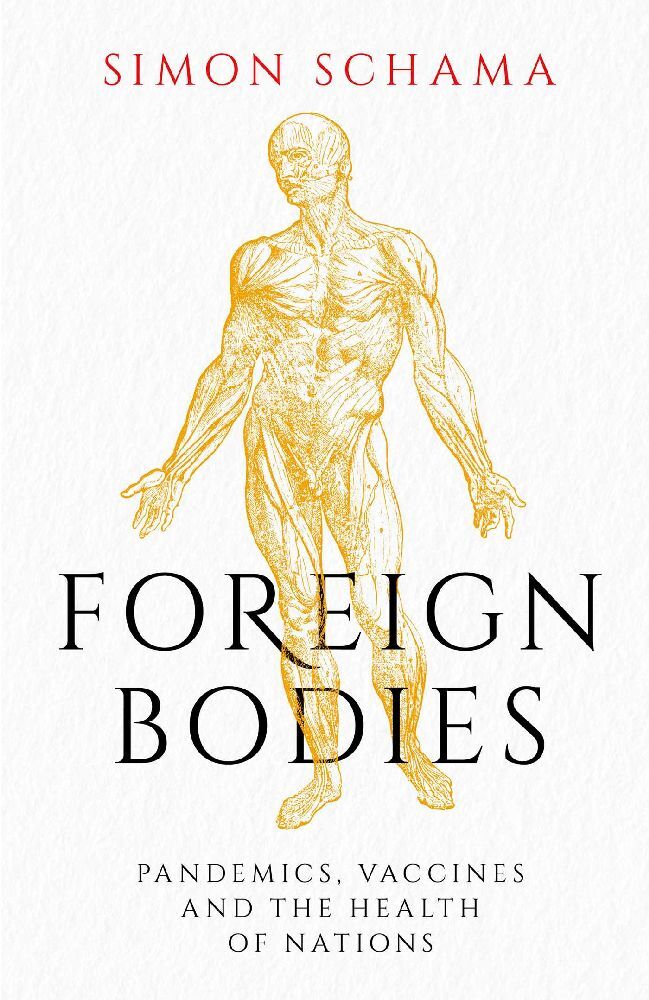 Foreign Bodies main product photo