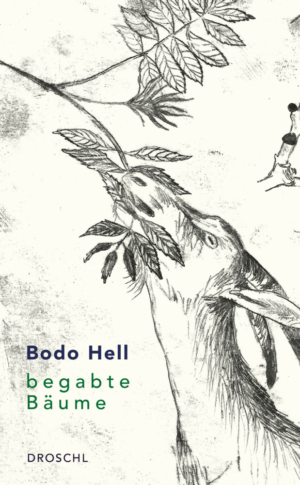 Begabte Bäume main product photo