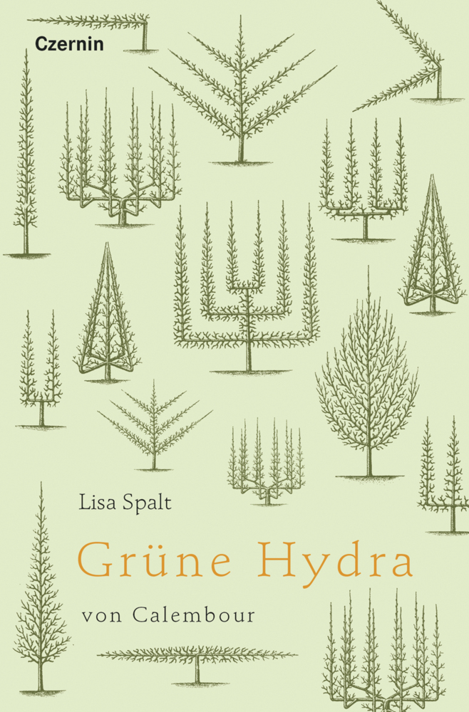 Grüne Hydra von Calembour main product photo