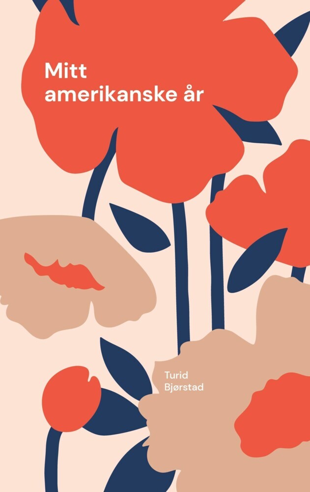 Mitt amerikanske år main product photo