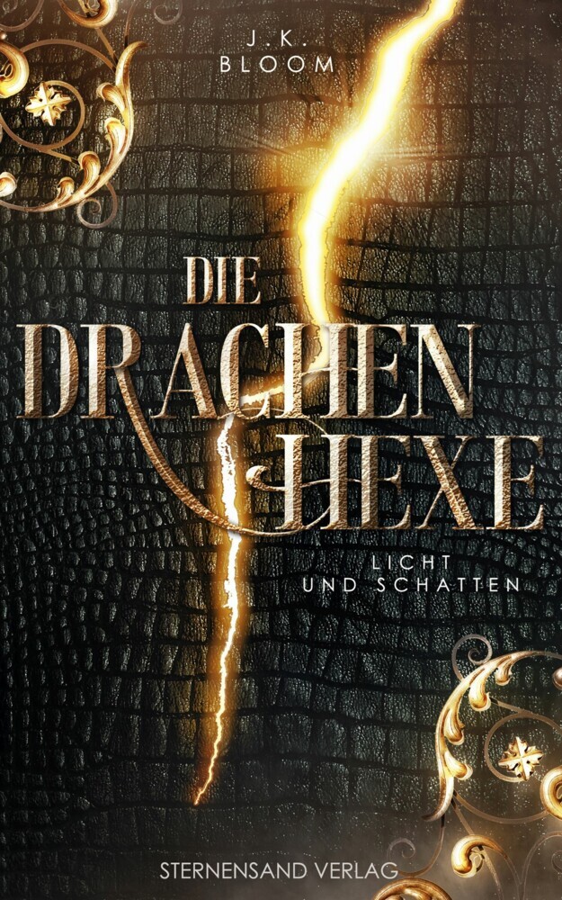Die Drachenhexe (Band 1): Licht und Schatten main product photo