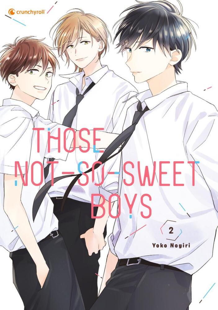 Those Not-So-Sweet Boys - Band 2 main product photo