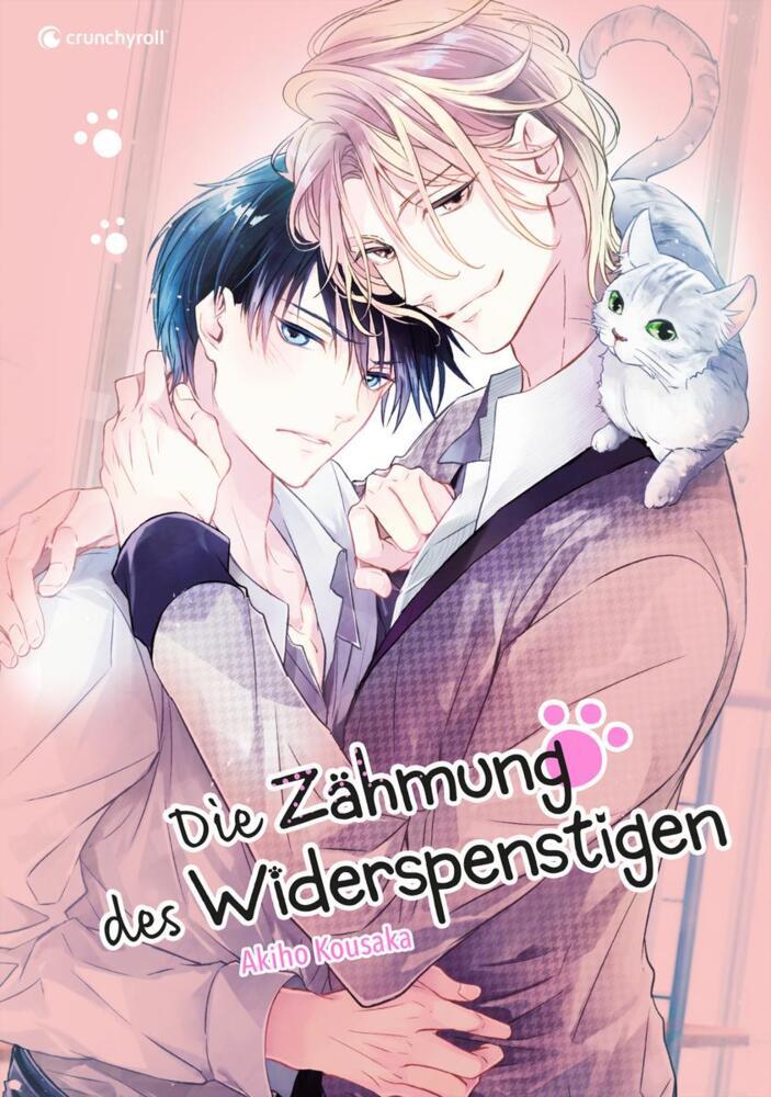 Die Zähmung des Widerspenstigen main product photo