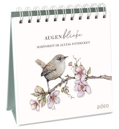 AugenBlicke - Aufstellbuch main product photo