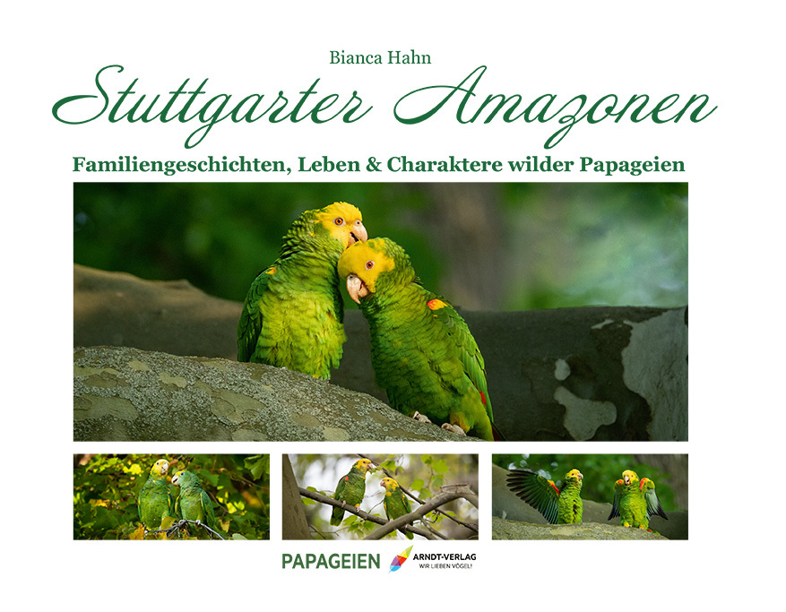 Stuttgarter Amazonen main product photo