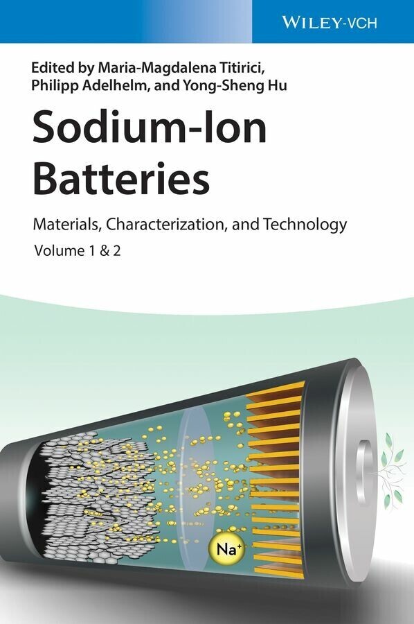 Sodium-Ion Batteries main product photo