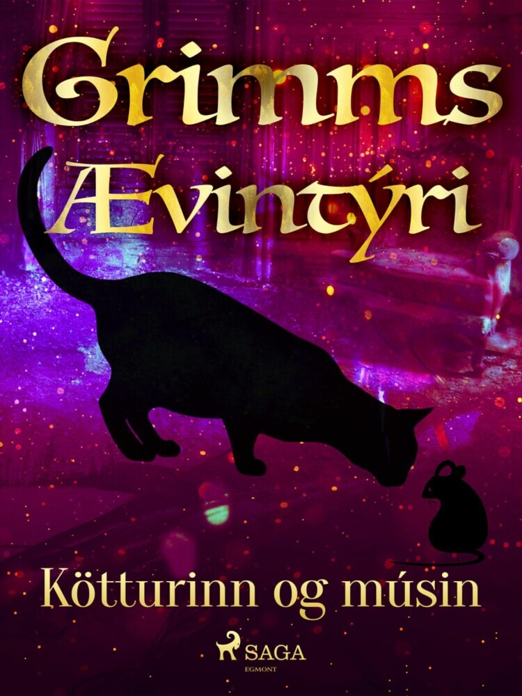 Kötturinn og músin main product photo