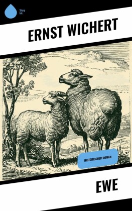 Ewe
