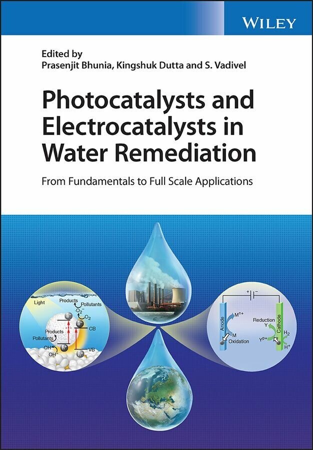 Photocatalysts and Electrocatalysts in Water Remediation main product photo