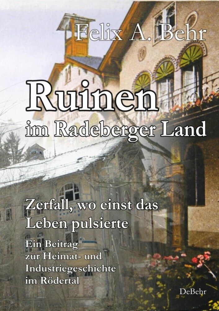 Ruinen im Radeberger Land - Zerfall, wo einst das Leben pulsierte - Ein Beitrag zur Heimat- und Industriegeschichte im Rödertal main product photo