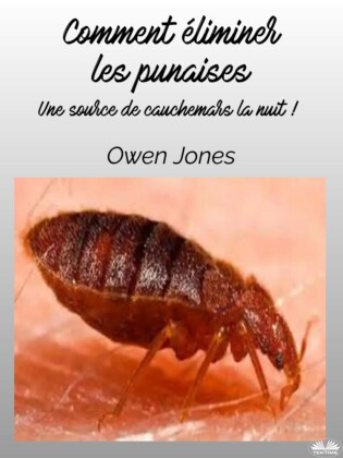 Comment Éliminer Les Punaises