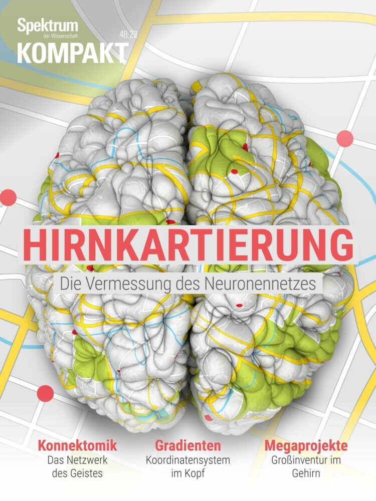Spektrum Kompakt - Hirnkartierung main product photo