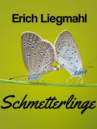 Schmetterlinge