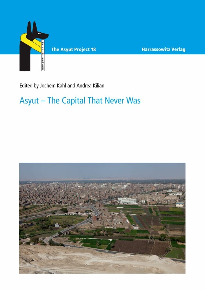 Asyut - The Capital That Never Was main product photo