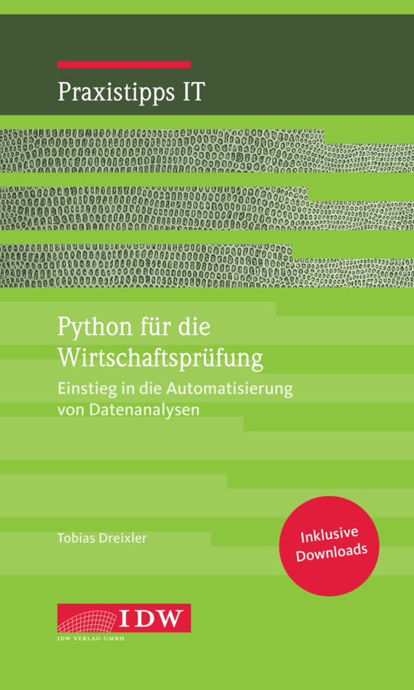 Python für die Wirtschaftsprüfung main product photo