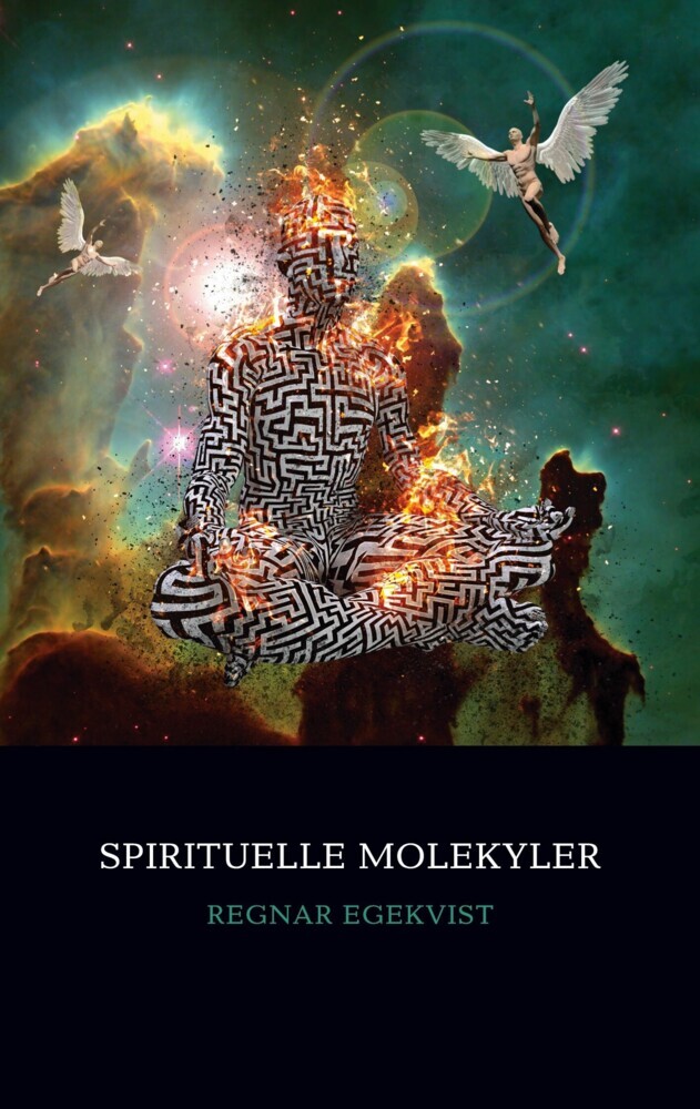 Spirituelle Molekyler main product photo