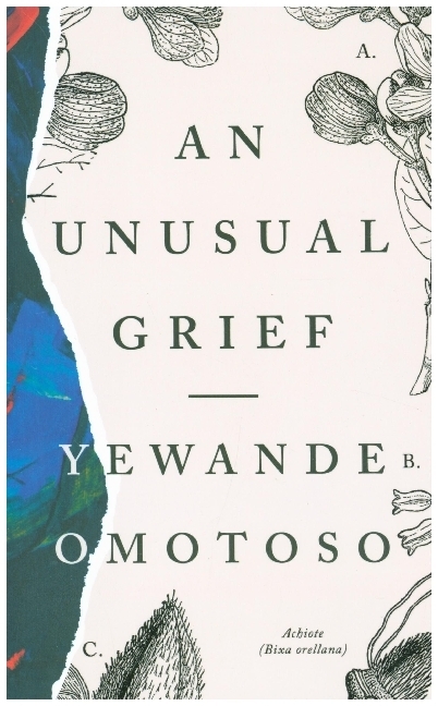 An Unusual Grief main product photo