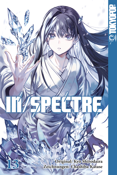 In/Spectre 13 main product photo