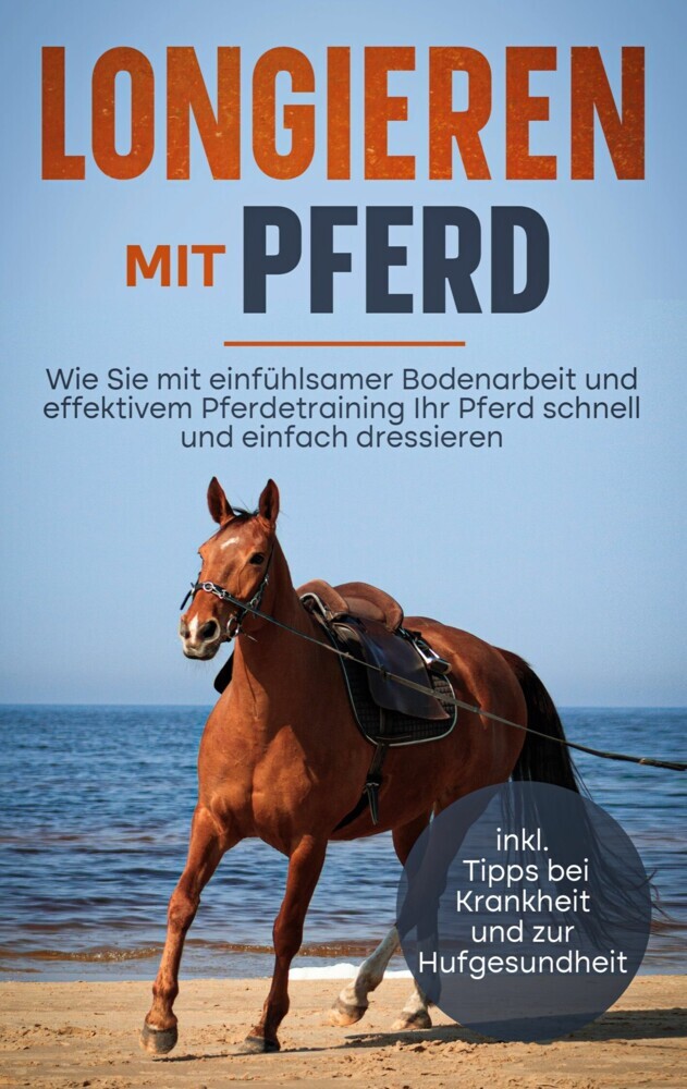 Longieren mit Pferd main product photo