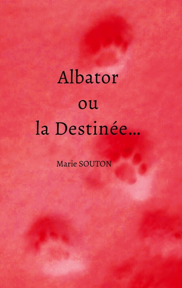 Albator ou la Destinée... main product photo