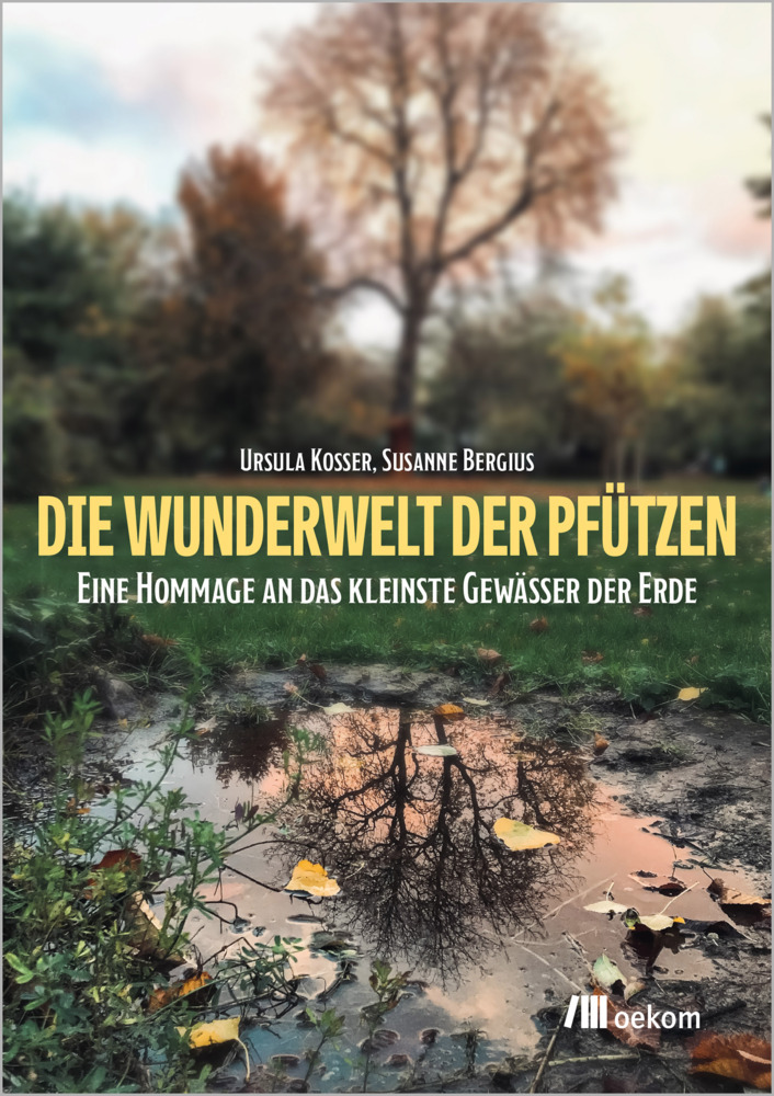Die Wunderwelt der Pfützen main product photo