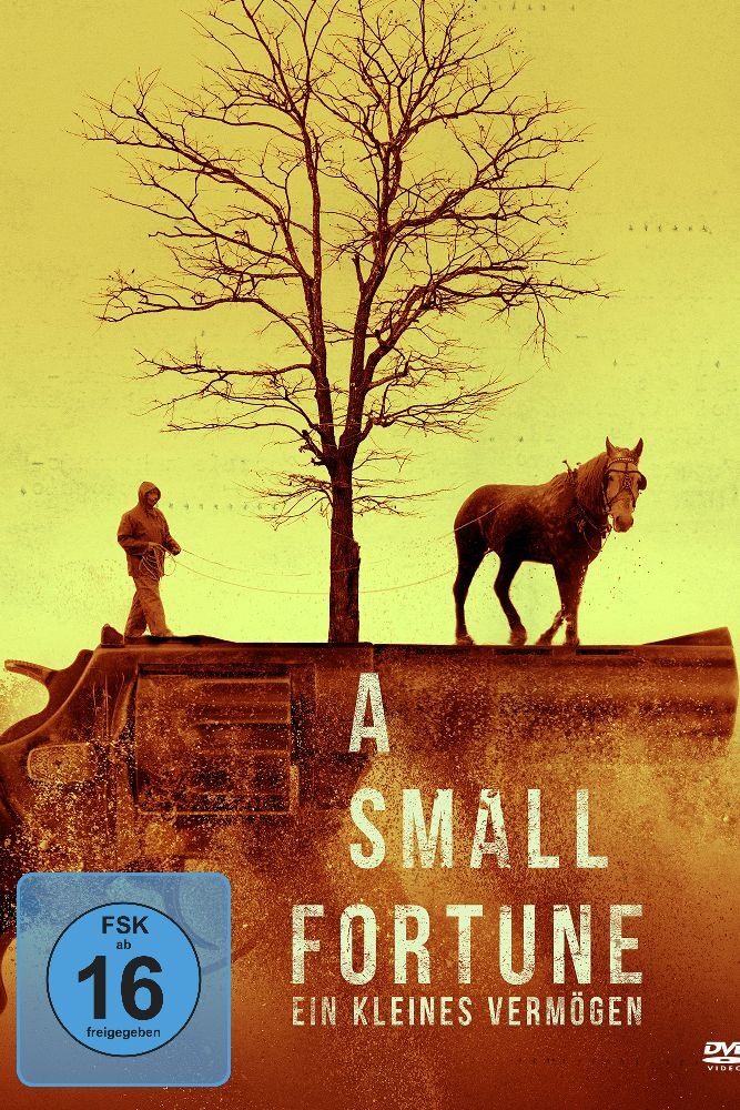 A Small Fortune - Ein kleines Vermögen, 1 DVD main product photo
