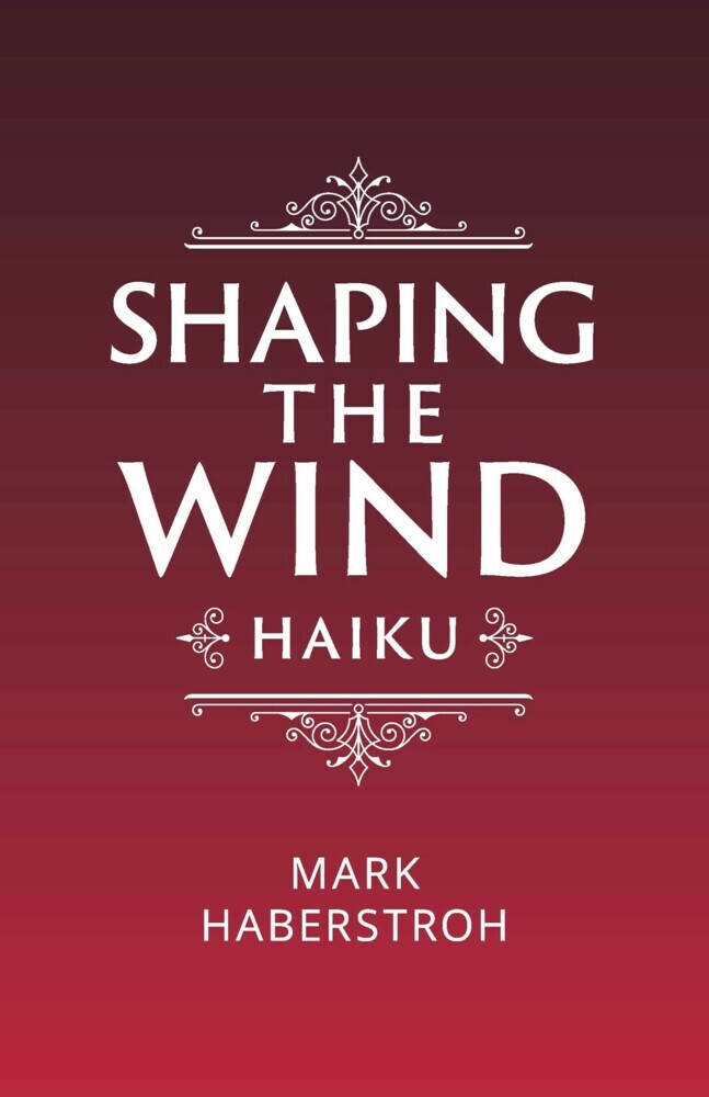 Shaping the Wind main product photo